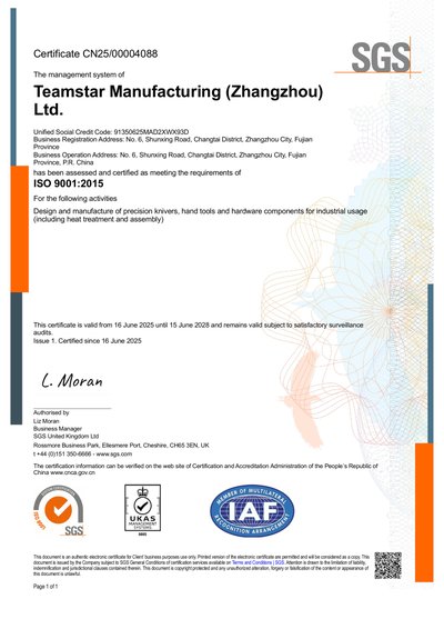 ISO 9001:2015 Certificate (English)